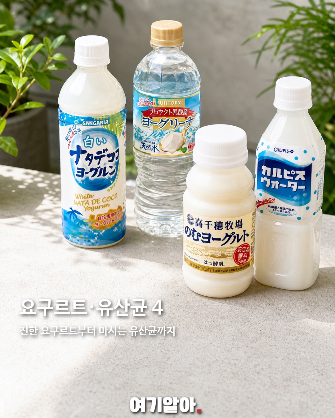 일본 가면 꼭 마실 편의점 음료 32 5페이지