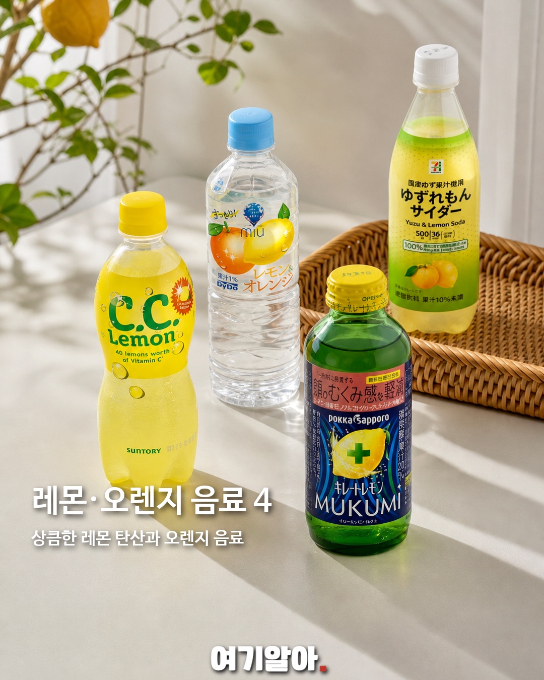 일본 가면 꼭 마실 편의점 음료 32 6페이지