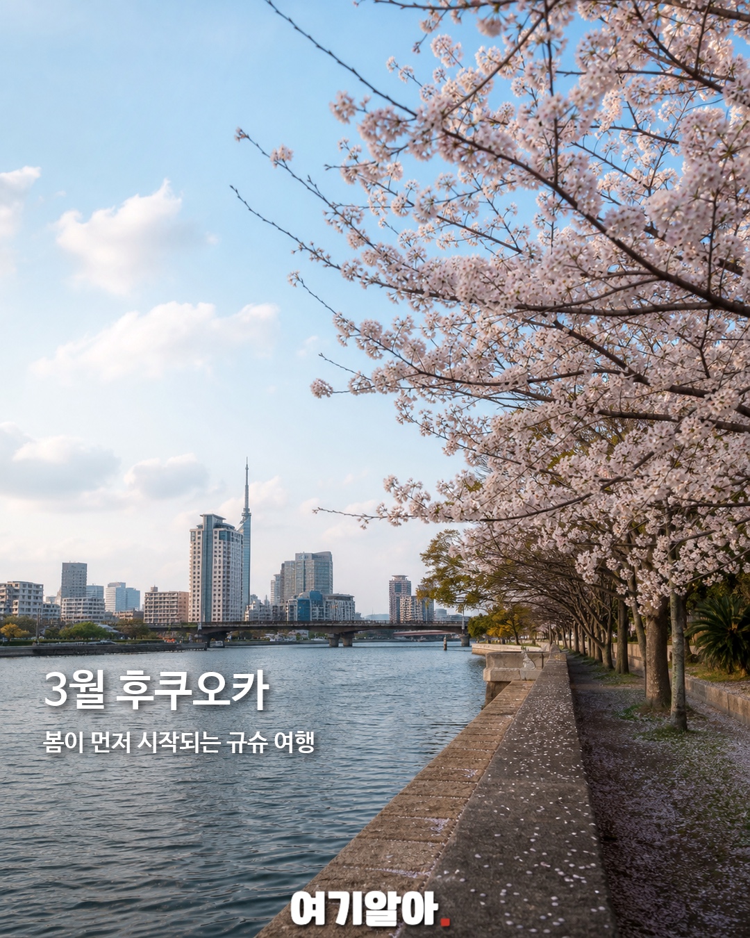 월별로 골라가는 일본 도시 12곳 3페이지