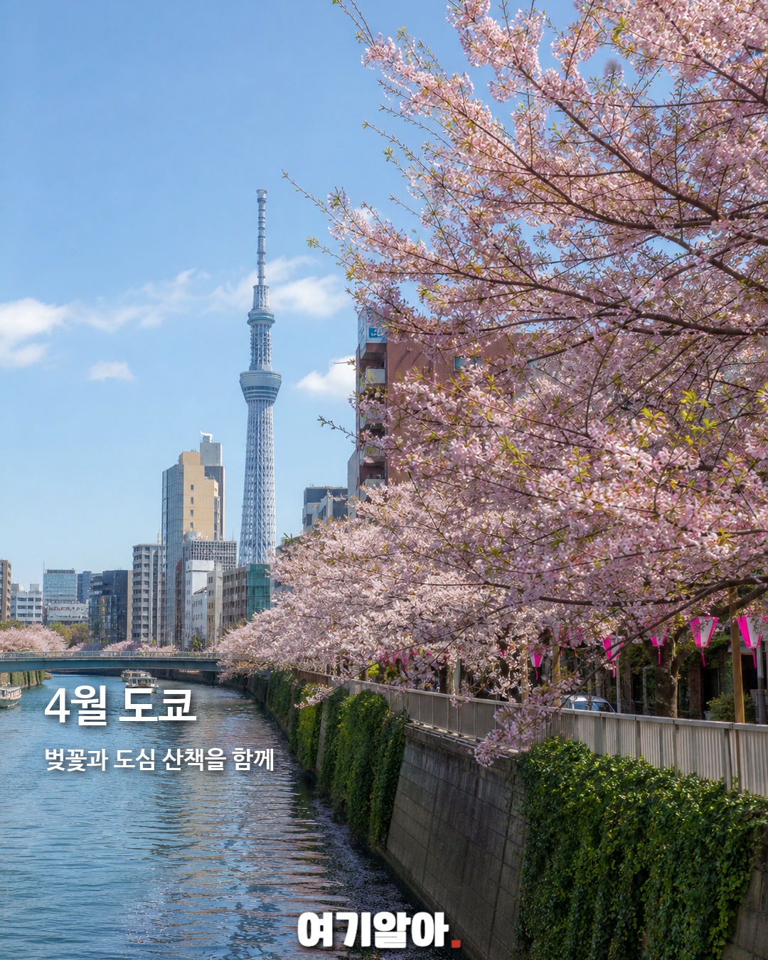 월별로 골라가는 일본 도시 12곳 4페이지