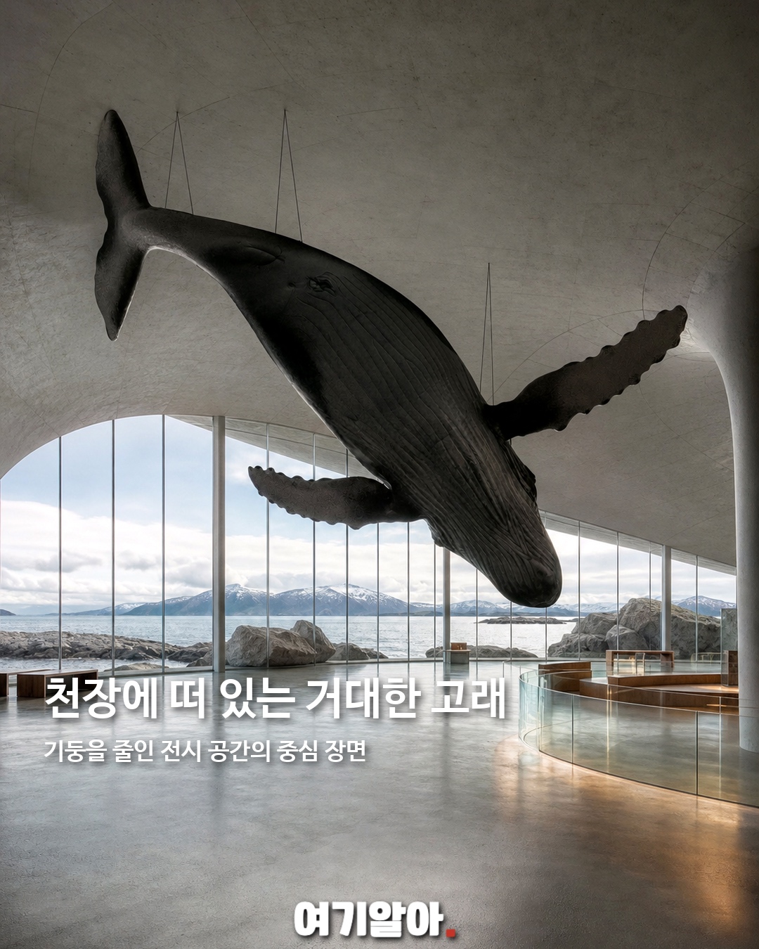 지붕 위 걷는 노르웨이 고래 박물관 3페이지
