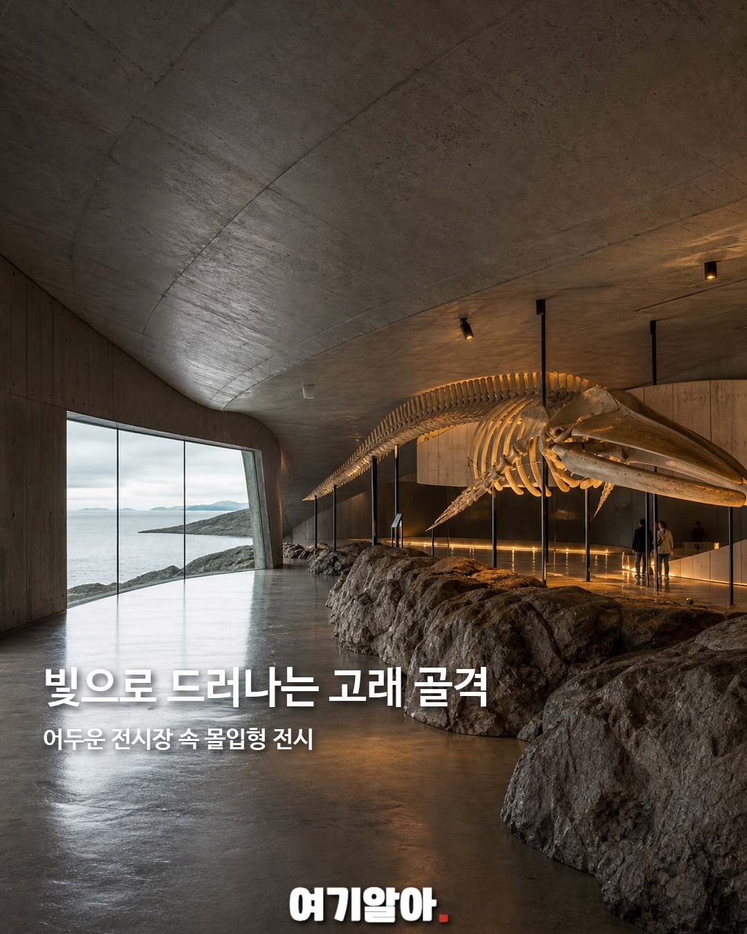 지붕 위 걷는 노르웨이 고래 박물관 6페이지