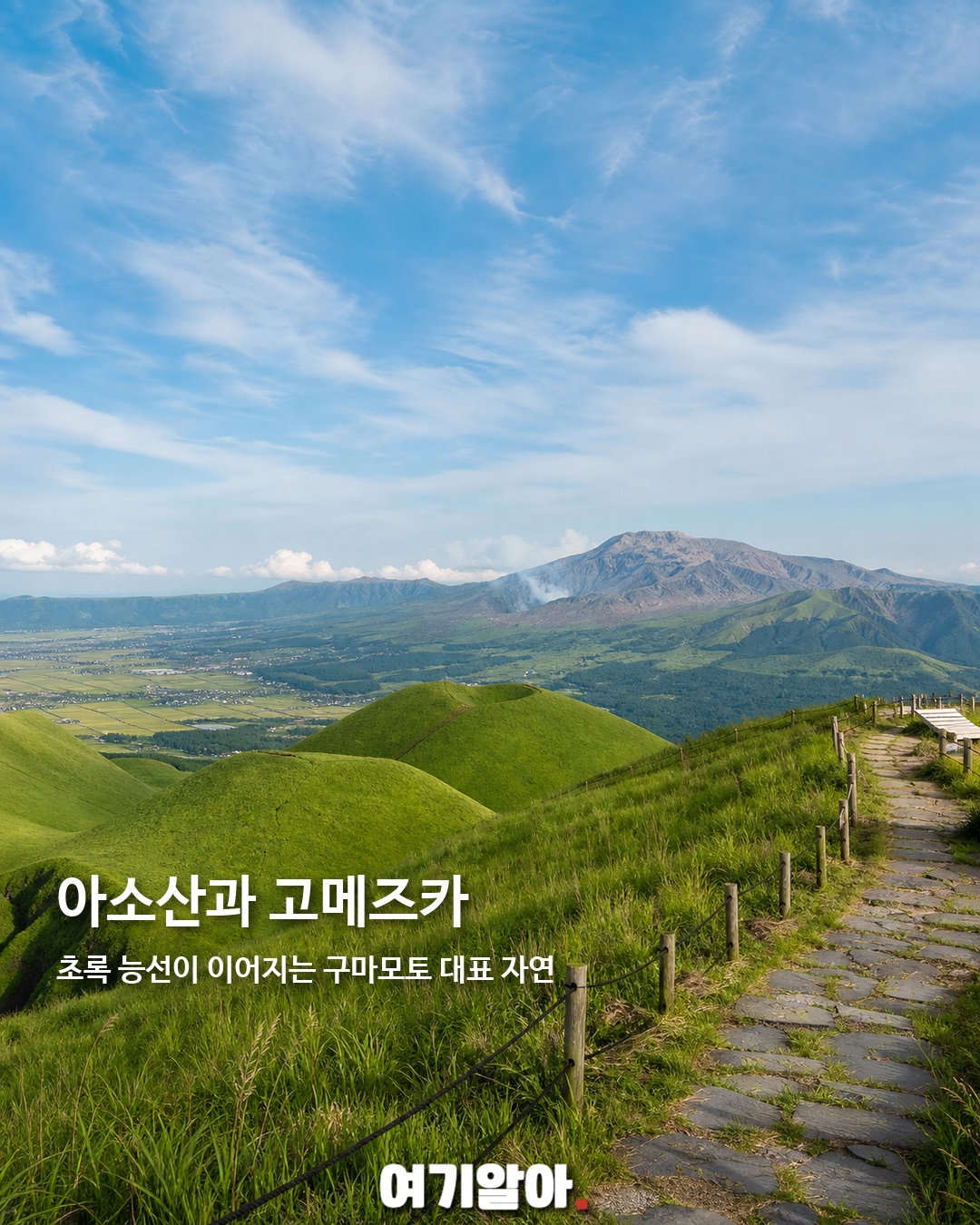 요즘 MZ가 찾는 쿠마몬 고향 구마모토 2페이지