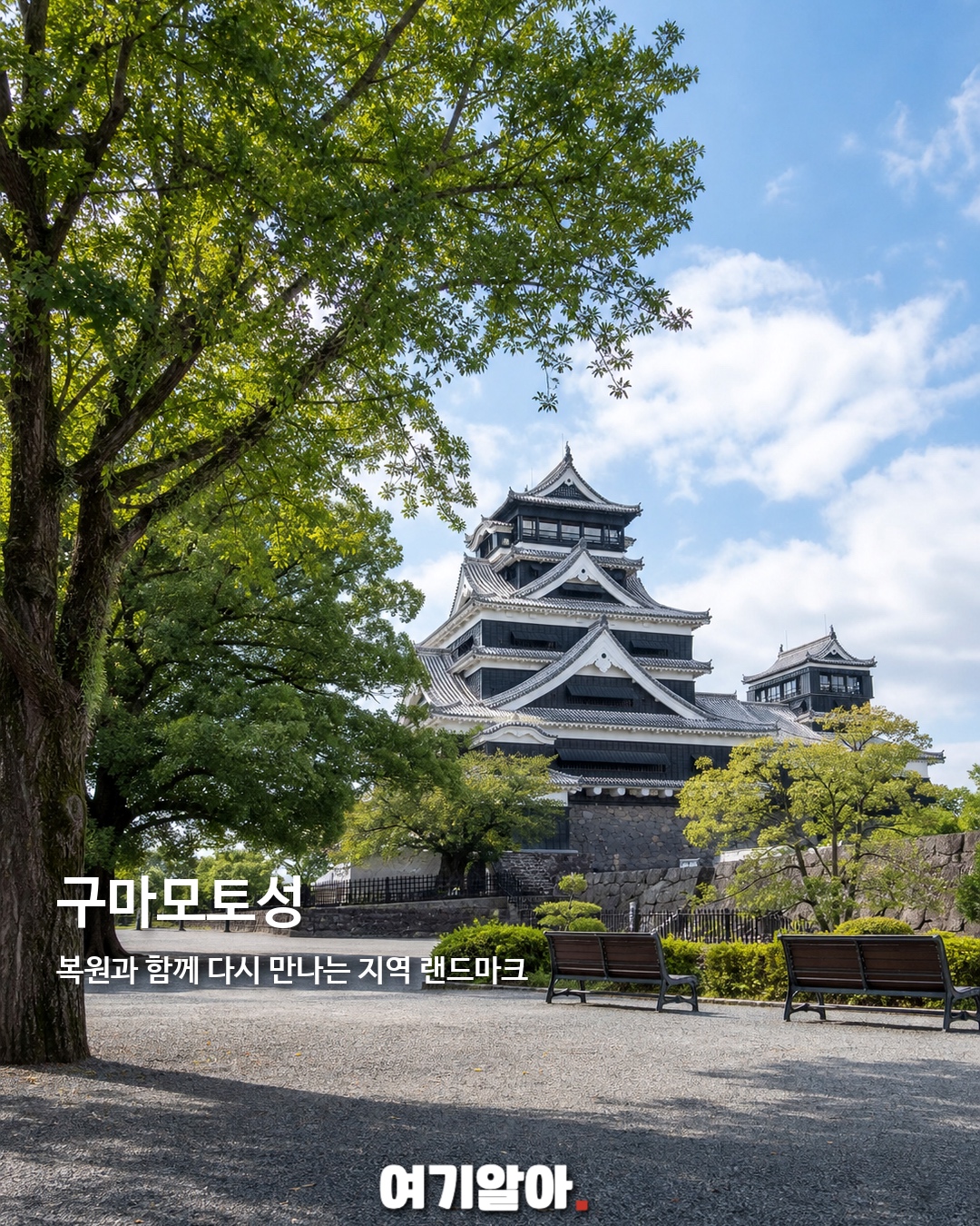 요즘 MZ가 찾는 쿠마몬 고향 구마모토 3페이지