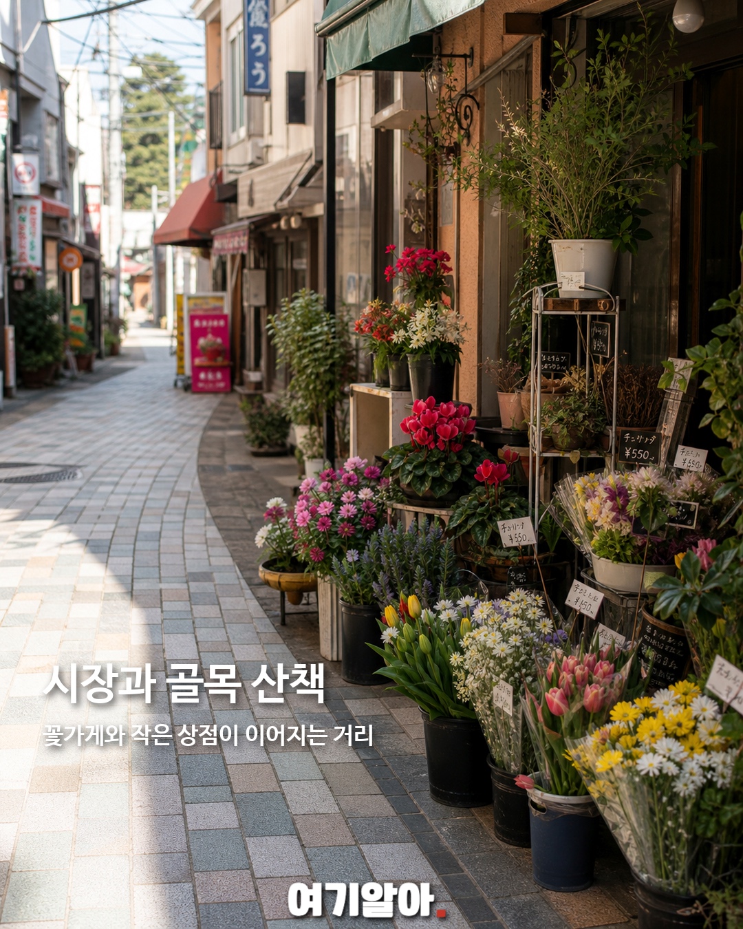 요즘 MZ가 찾는 쿠마몬 고향 구마모토 6페이지
