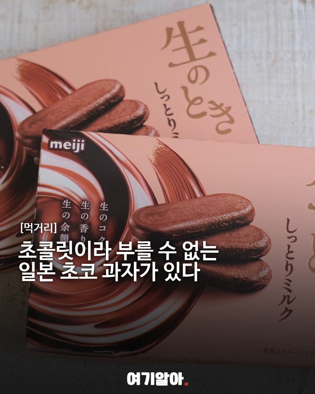 초콜릿이라 부를 수 없는 일본 초코 과자
