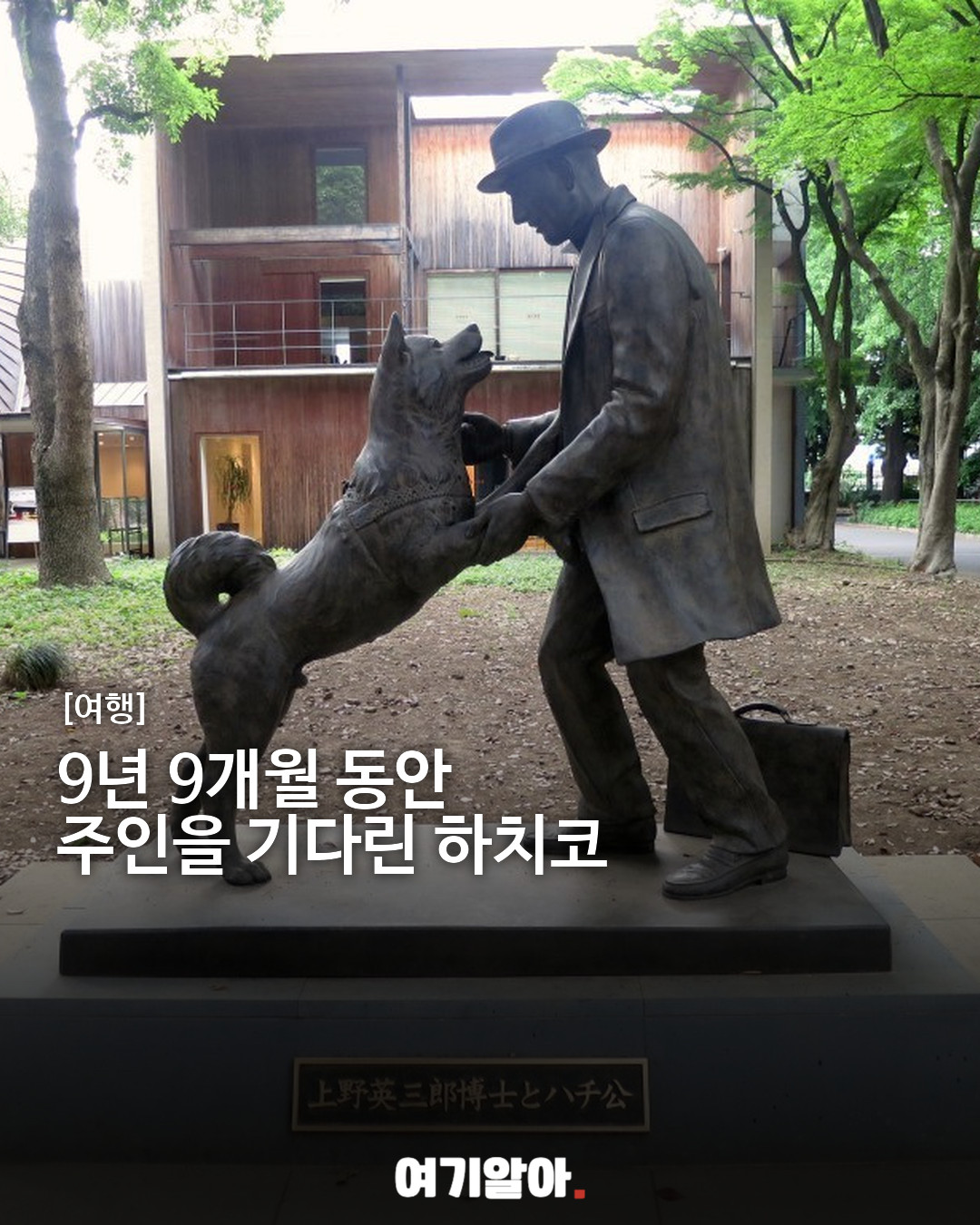 9년 9개월 동안 주인을 기다린 하치코