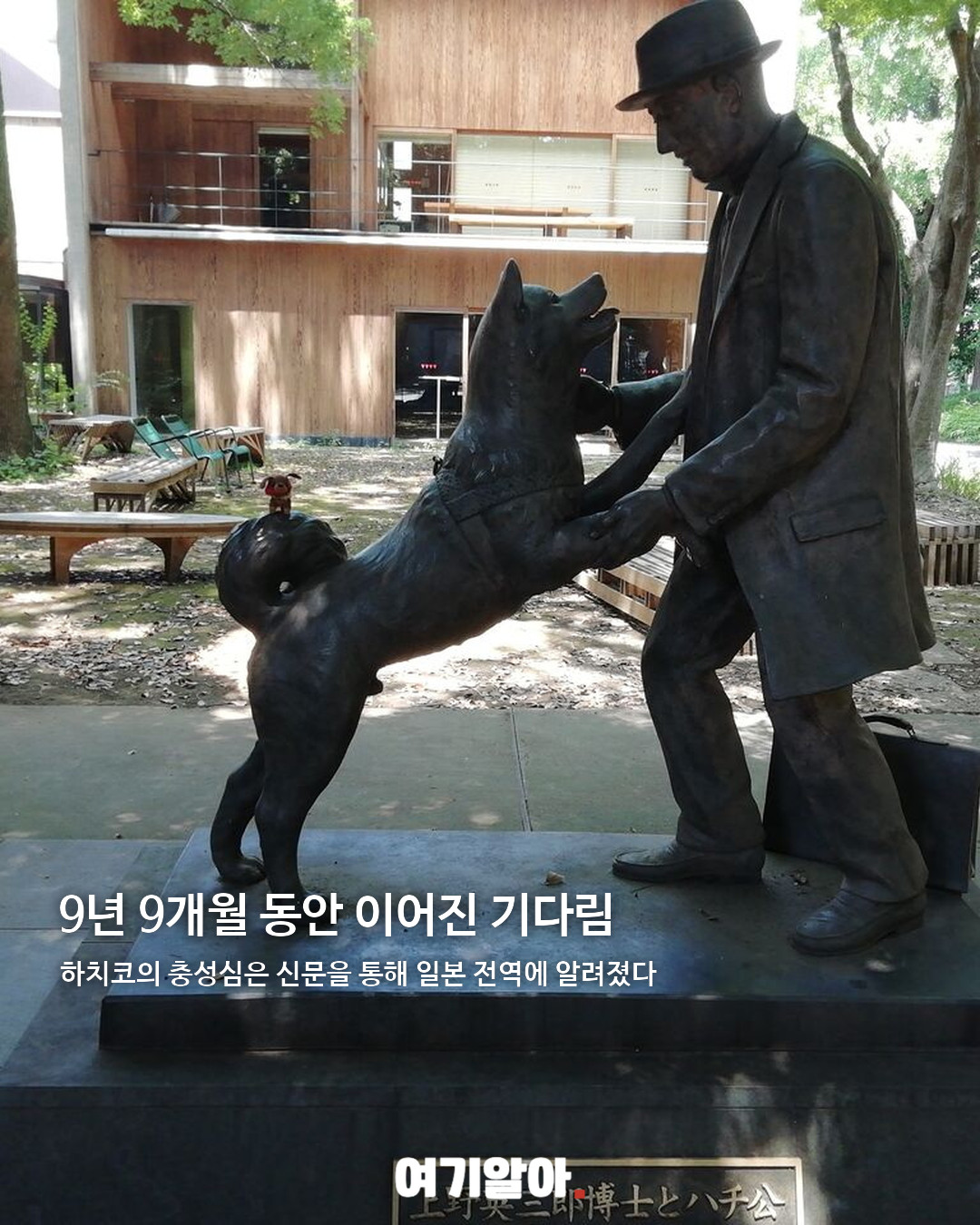 9년 9개월 동안 주인을 기다린 하치코 03페이지