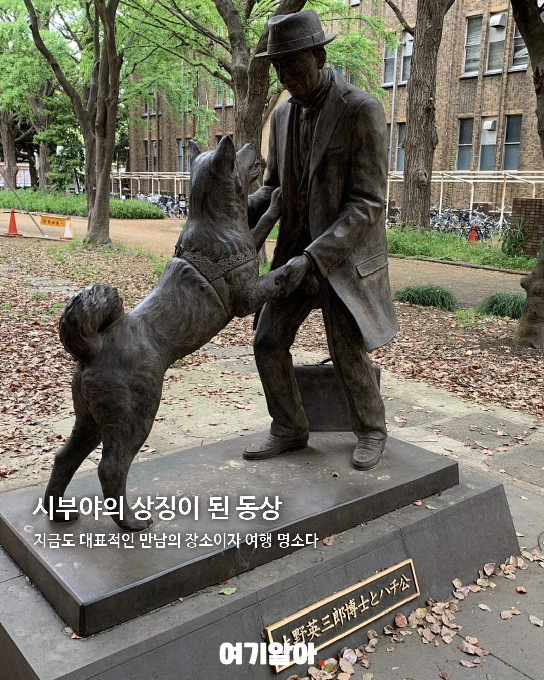 9년 9개월 동안 주인을 기다린 하치코 04페이지