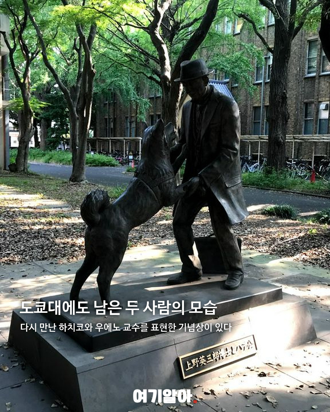 9년 9개월 동안 주인을 기다린 하치코 05페이지