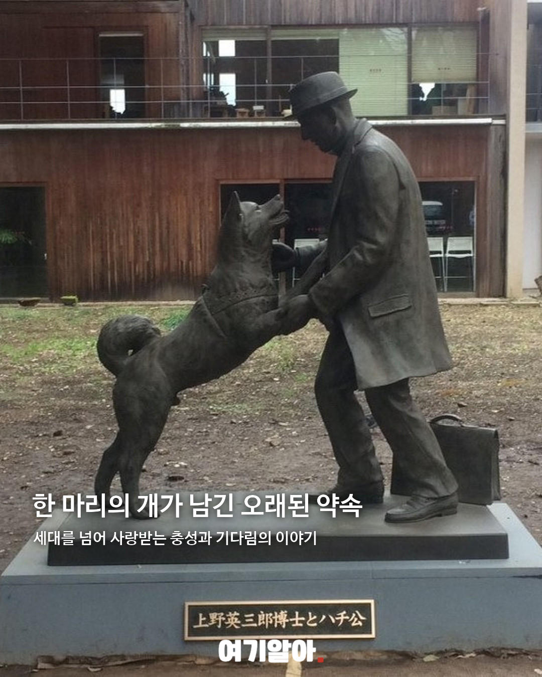 9년 9개월 동안 주인을 기다린 하치코 06페이지