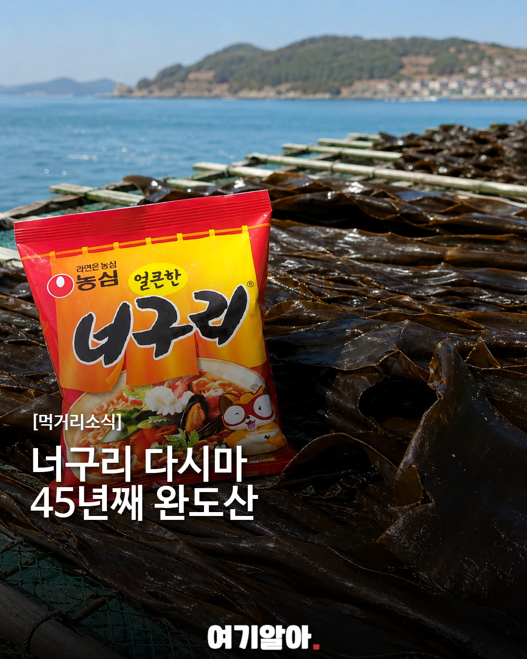 너구리 다시마, 45년째 완도산을 쓰는 이유