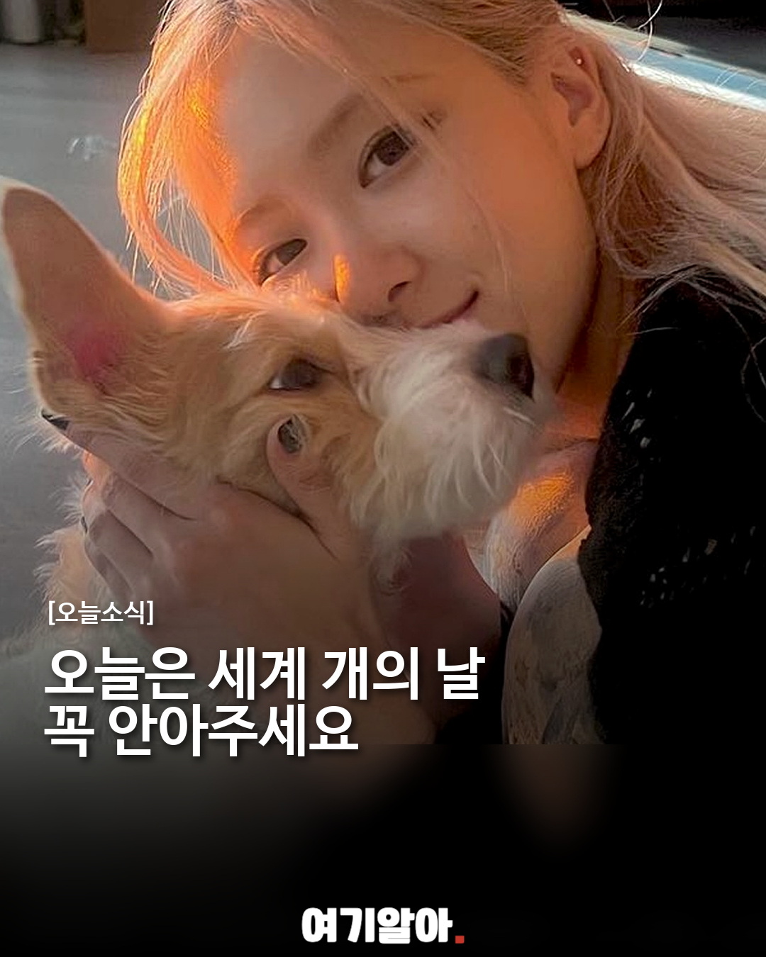 오늘은 세계 개의 날, 반려견을 꼭 안아주세요
