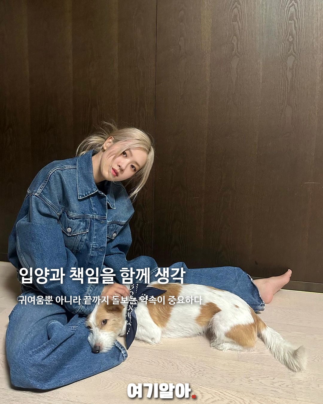 오늘은 세계 개의 날, 반려견을 꼭 안아주세요 04페이지