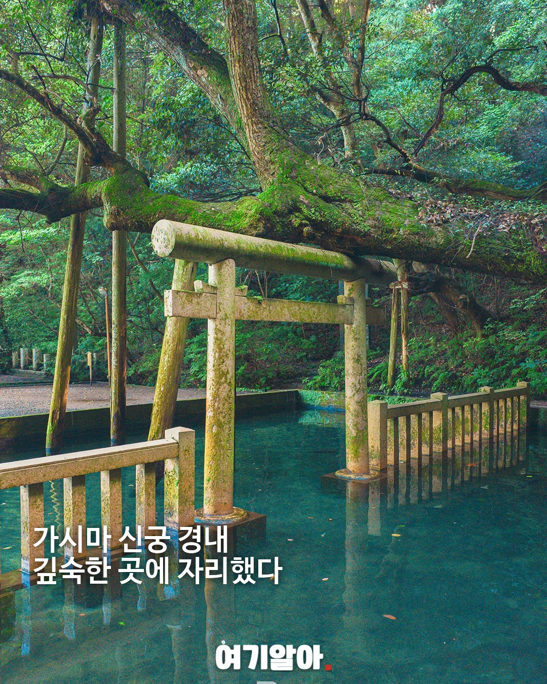 한 번도 마른 적 없는 연못 가시마 신궁 미타라시이케 03페이지