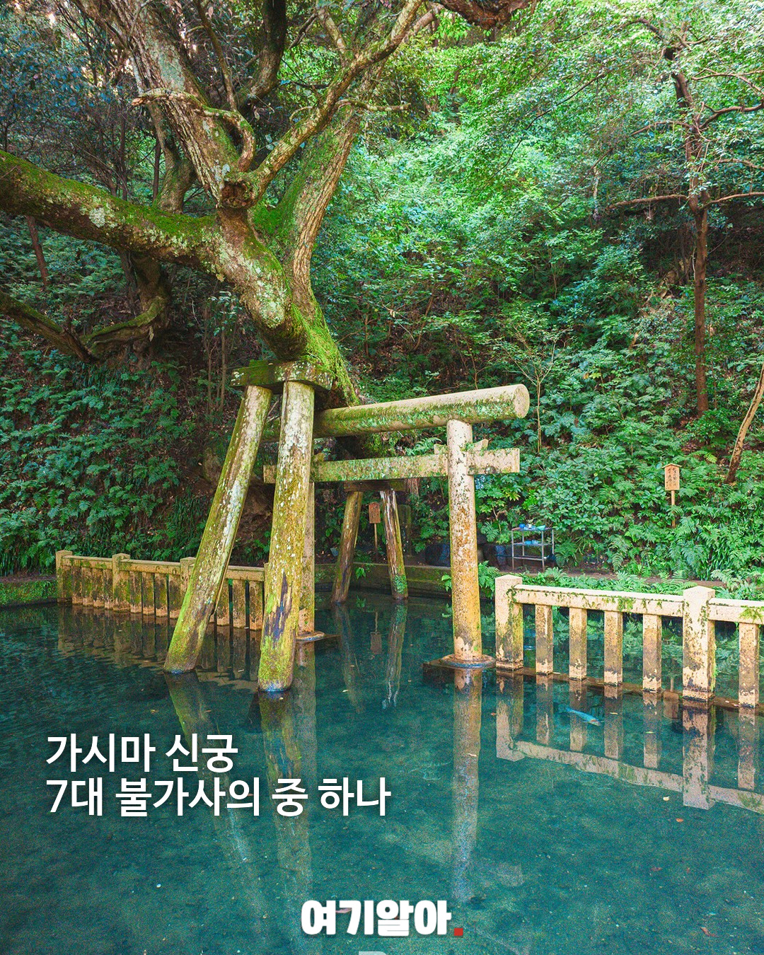 한 번도 마른 적 없는 연못 가시마 신궁 미타라시이케 05페이지