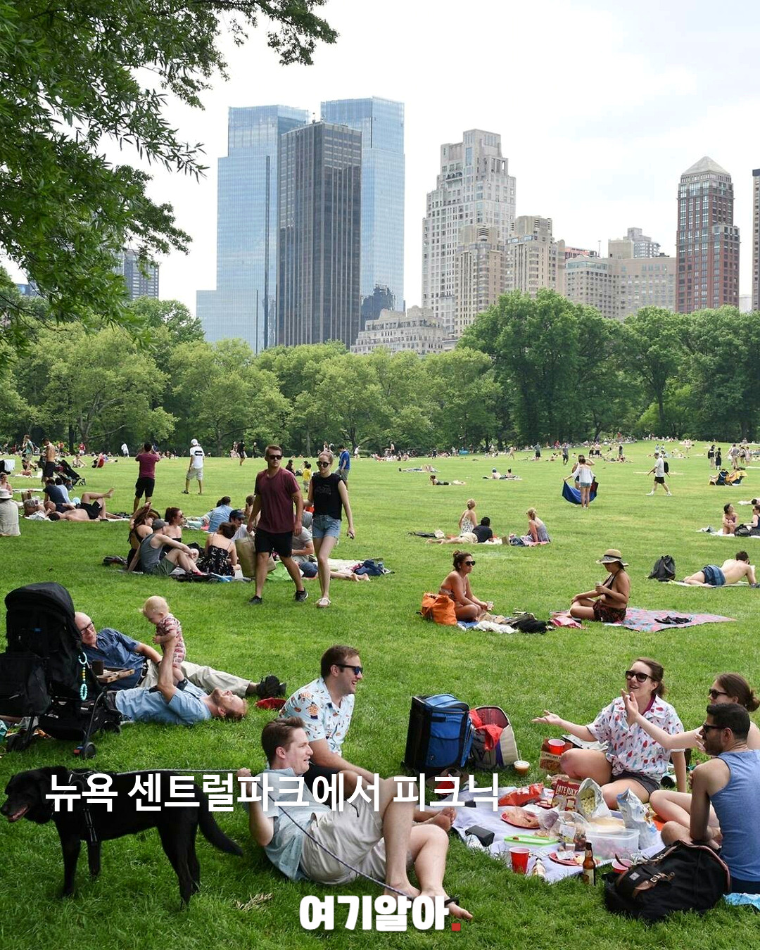 뉴욕에 가면 꼭 하고 싶은 로망 가득한 10가지 02페이지