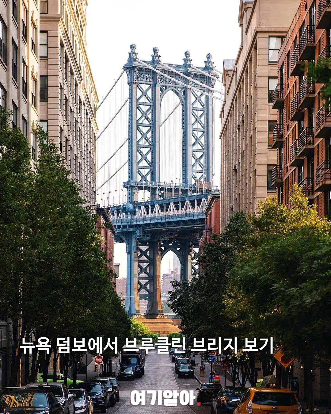 뉴욕에 가면 꼭 하고 싶은 로망 가득한 10가지 03페이지