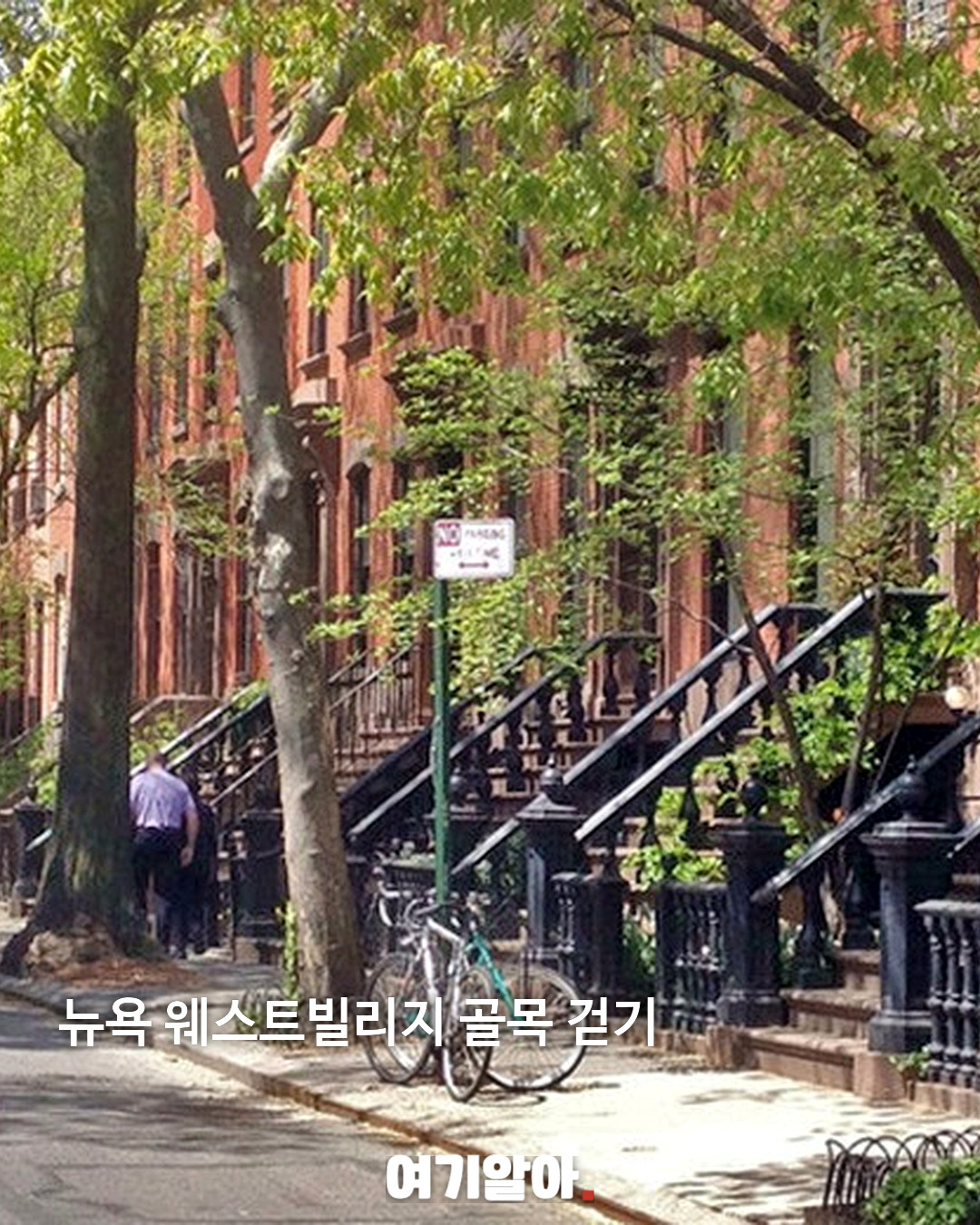 뉴욕에 가면 꼭 하고 싶은 로망 가득한 10가지 05페이지