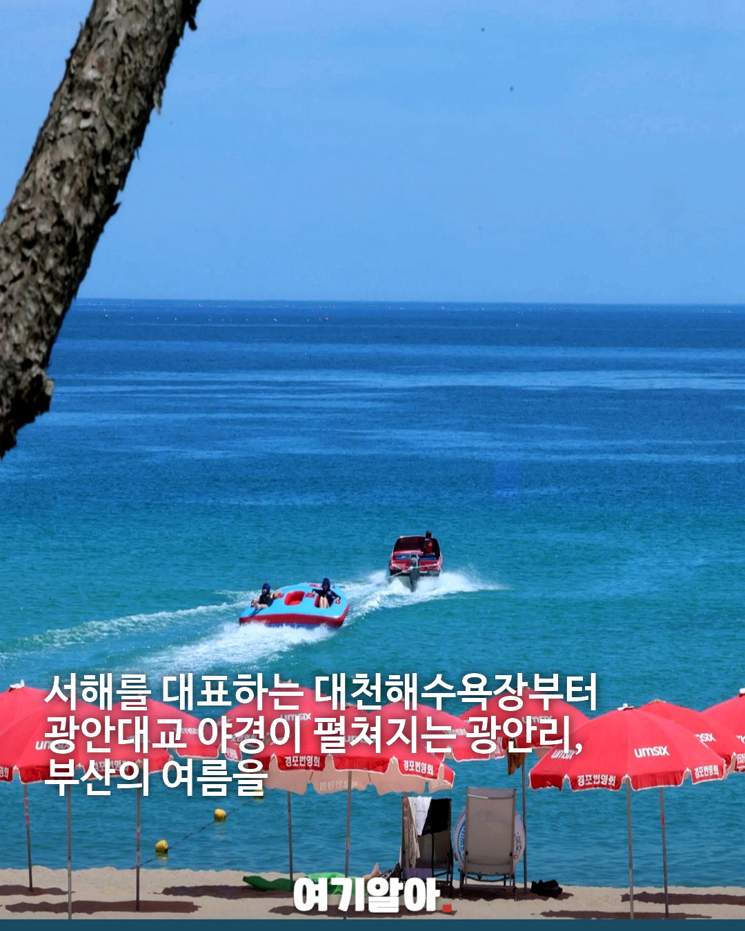2026 여름 가장 많이 찾은 해수욕장 TOP5 03페이지