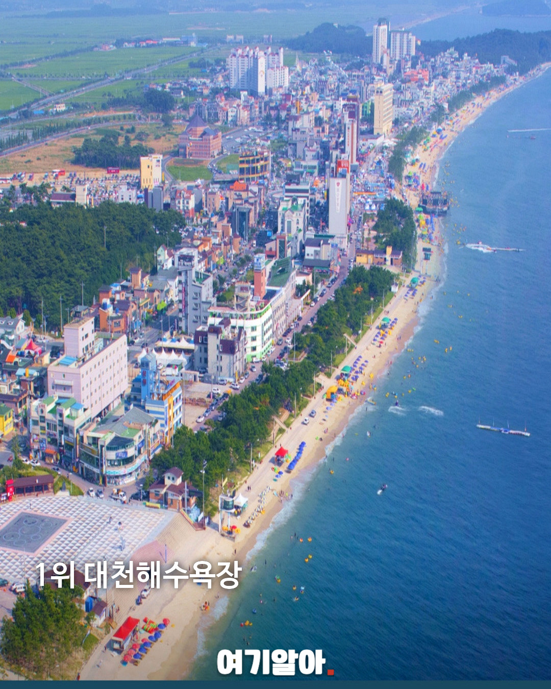 2026 여름 가장 많이 찾은 해수욕장 TOP5 06페이지