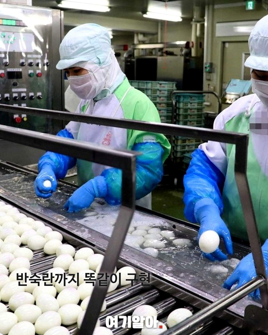 일본 반숙 계란의 비밀 사실은 ‘가공란’이었다 04페이지