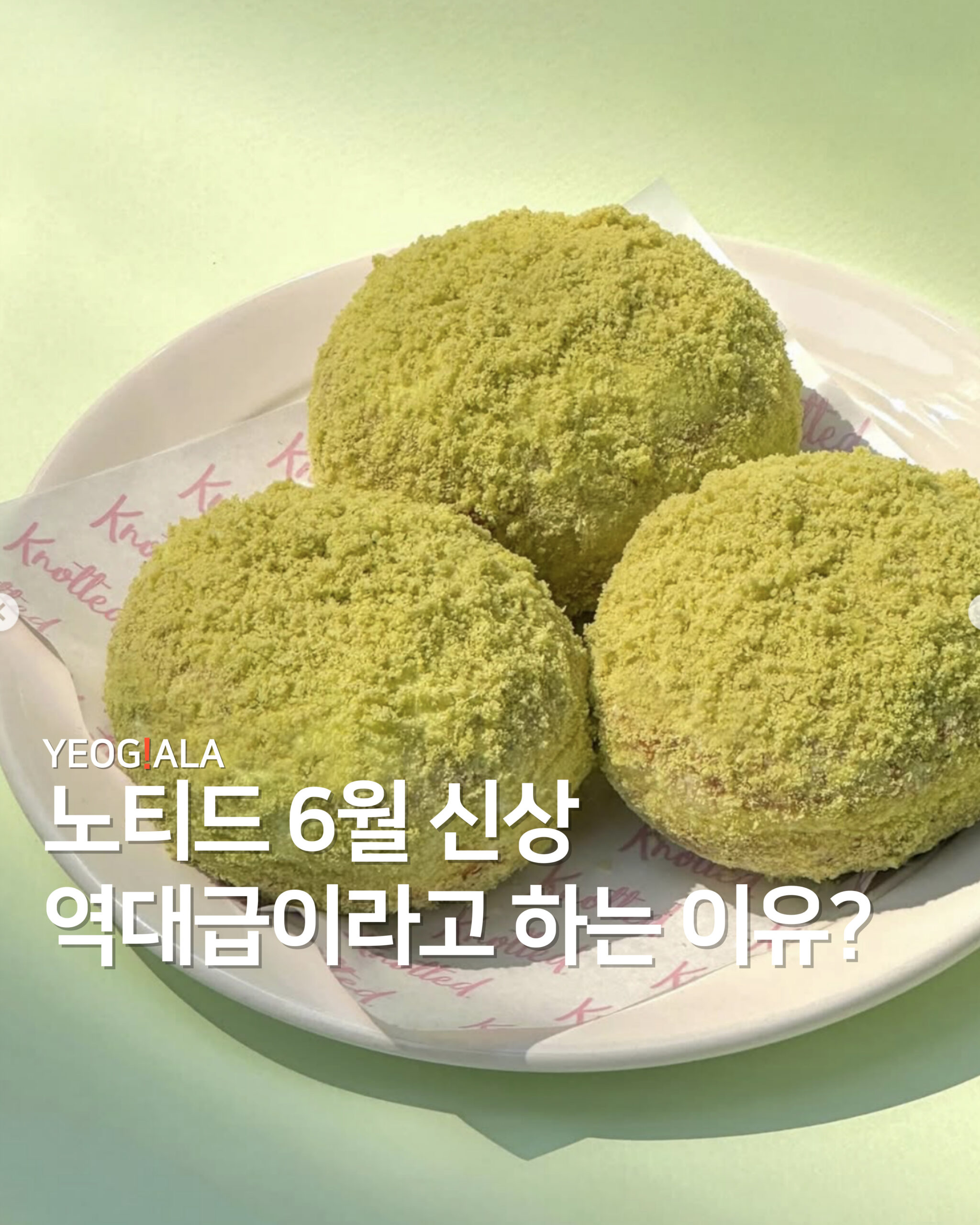노티드 신상