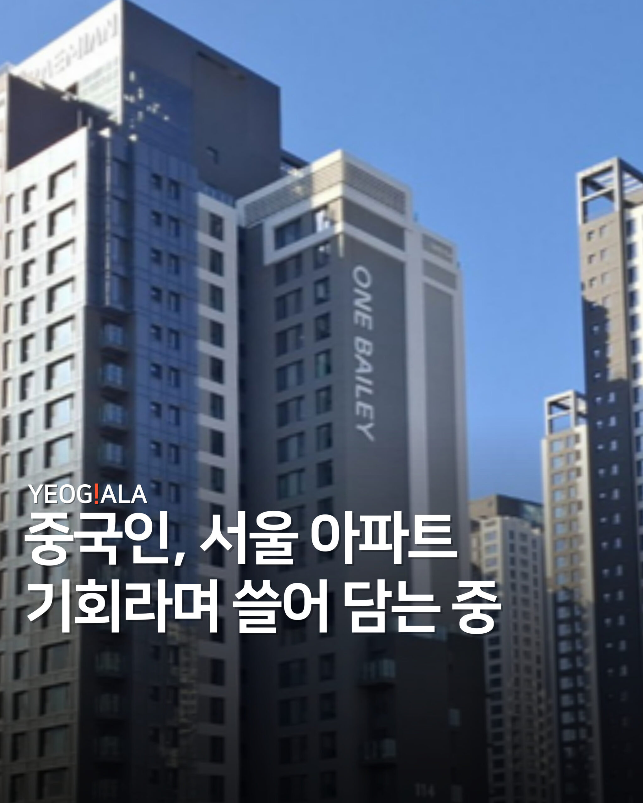 중국인 아파트 임대