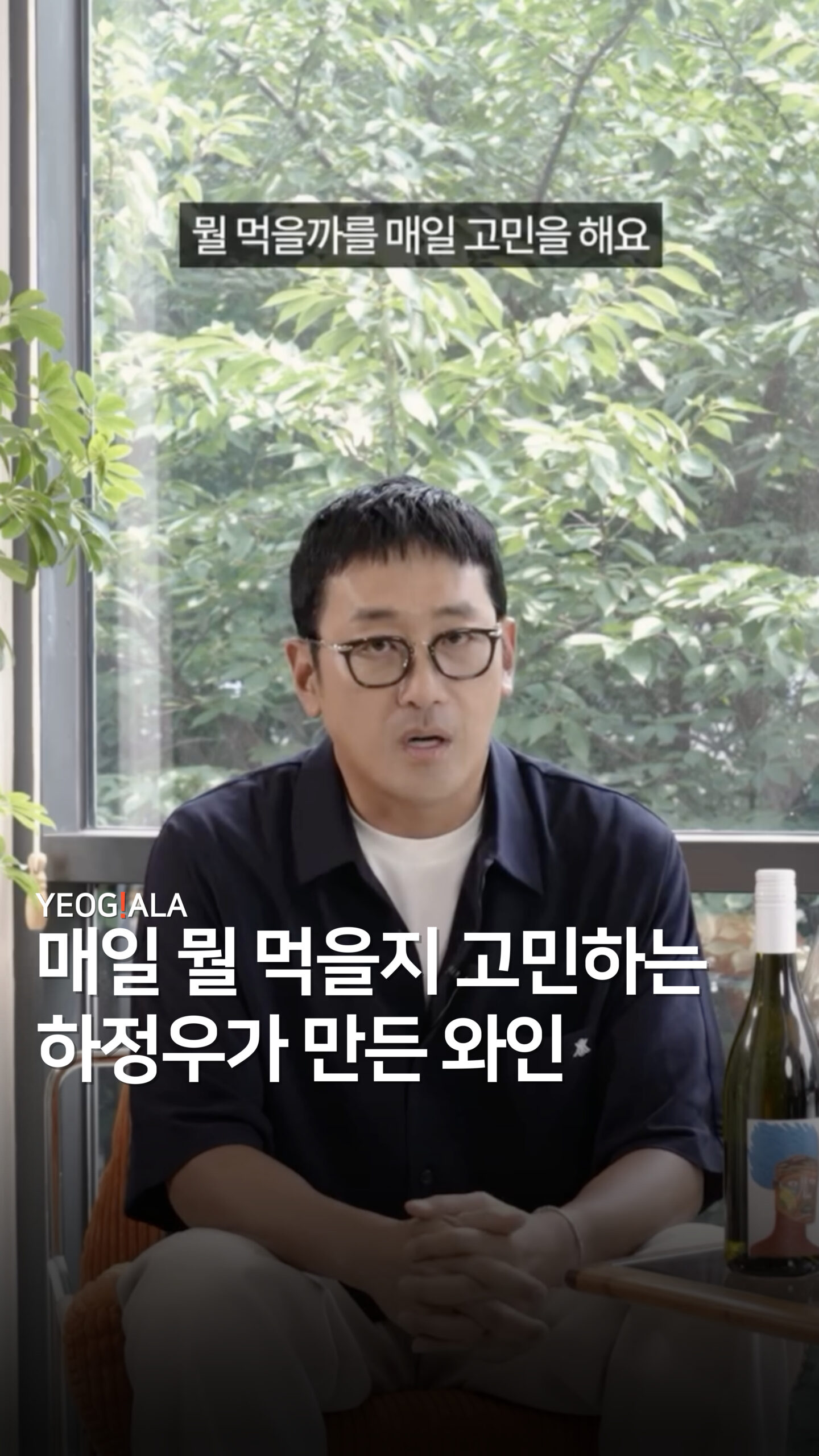 하정우 와인