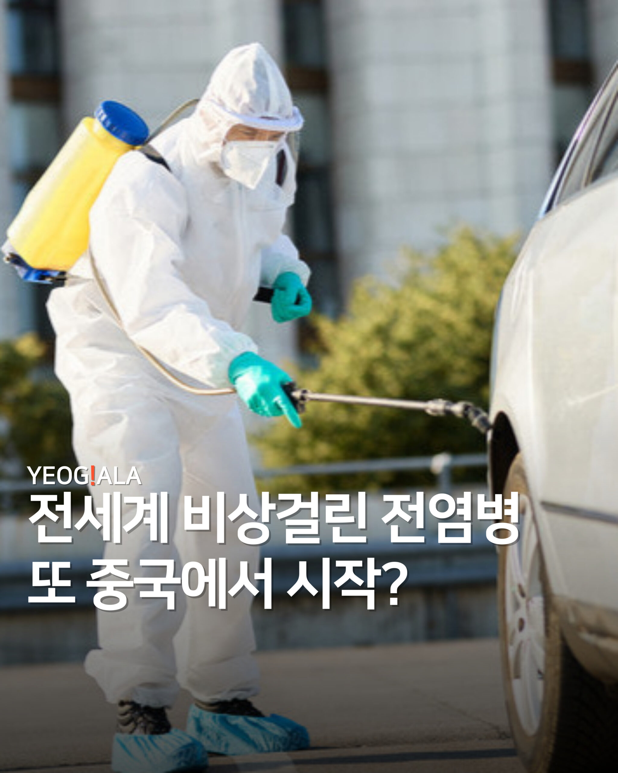 중국 전염병