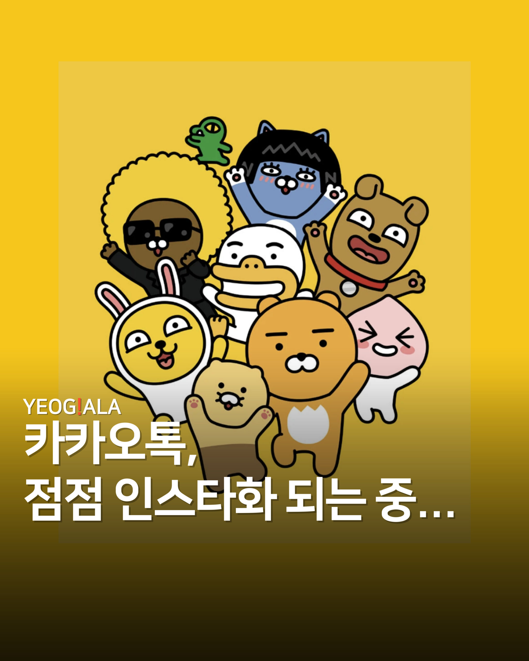 카카오개편