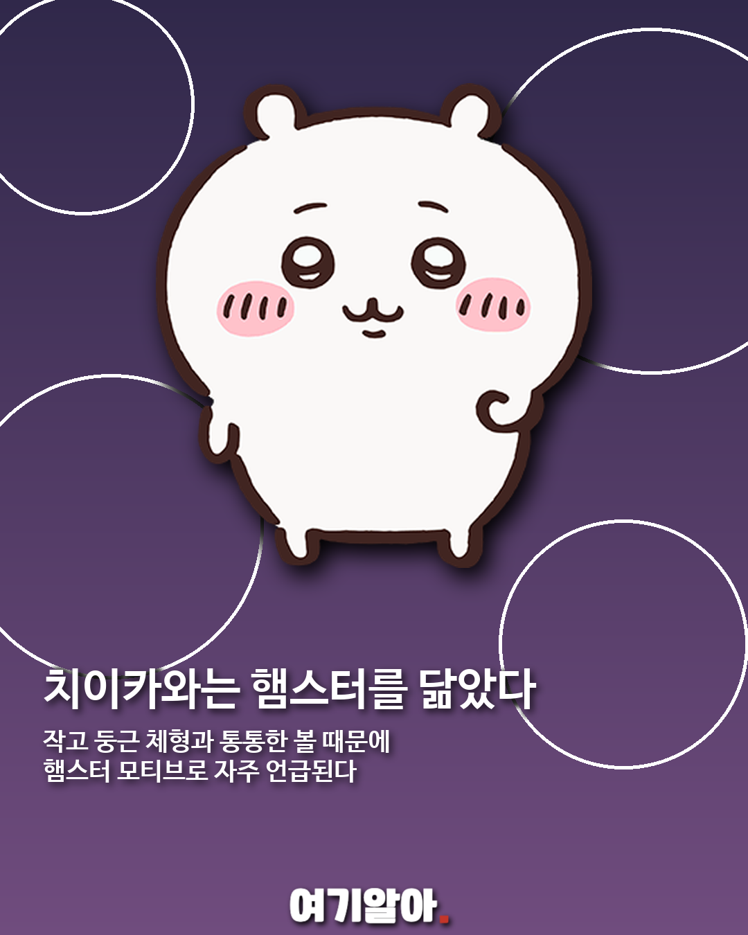 치이카와·하치와레·우사기, 어떤 동물을 닮았을까? 02페이지