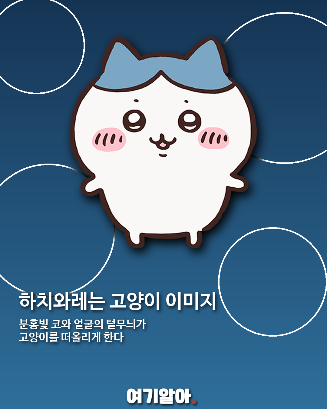 치이카와·하치와레·우사기, 어떤 동물을 닮았을까? 03페이지
