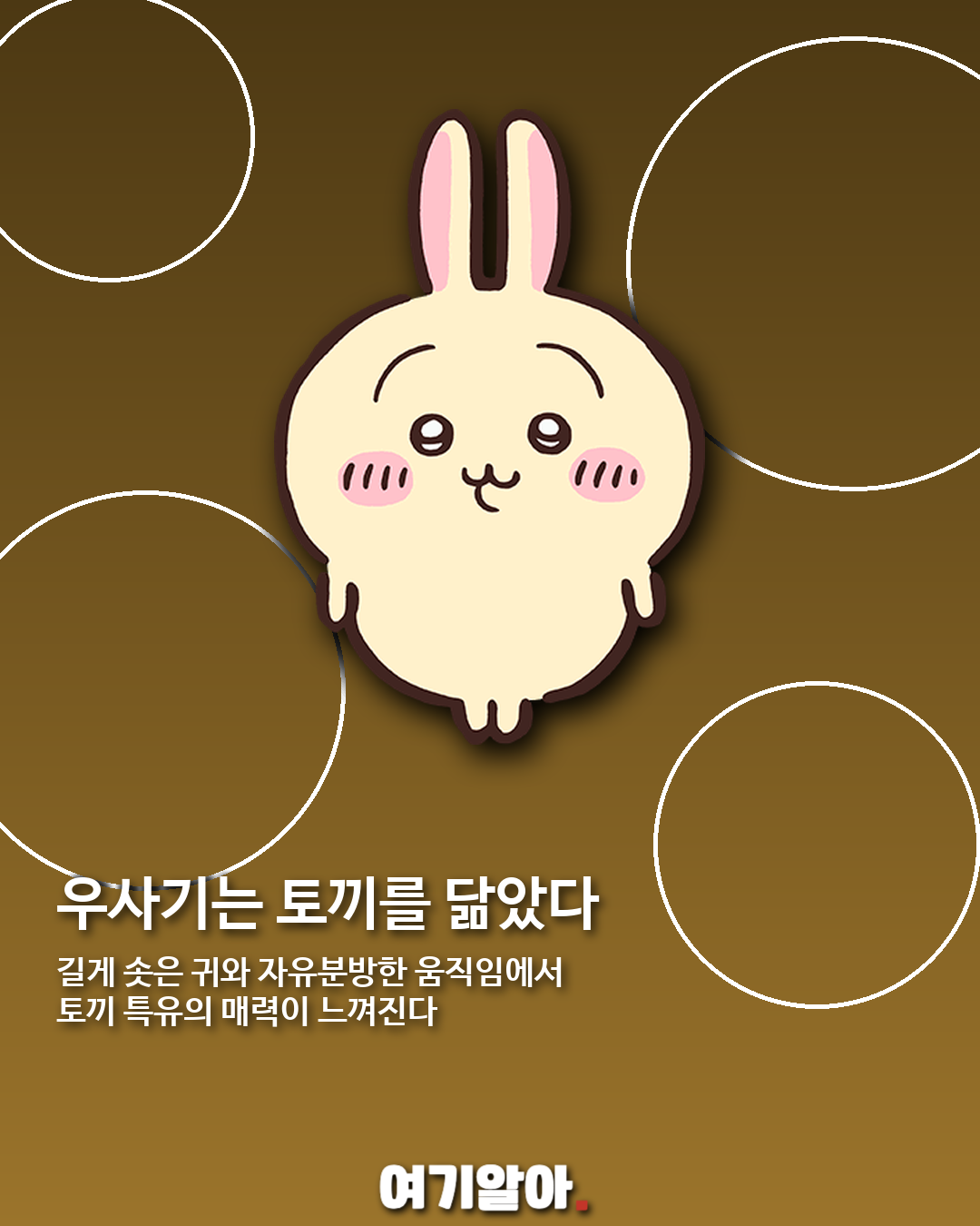 치이카와·하치와레·우사기, 어떤 동물을 닮았을까? 04페이지