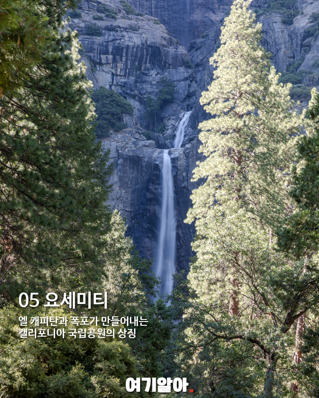 미국 여행 전에 저장할 국립공원 TOP 10 06페이지