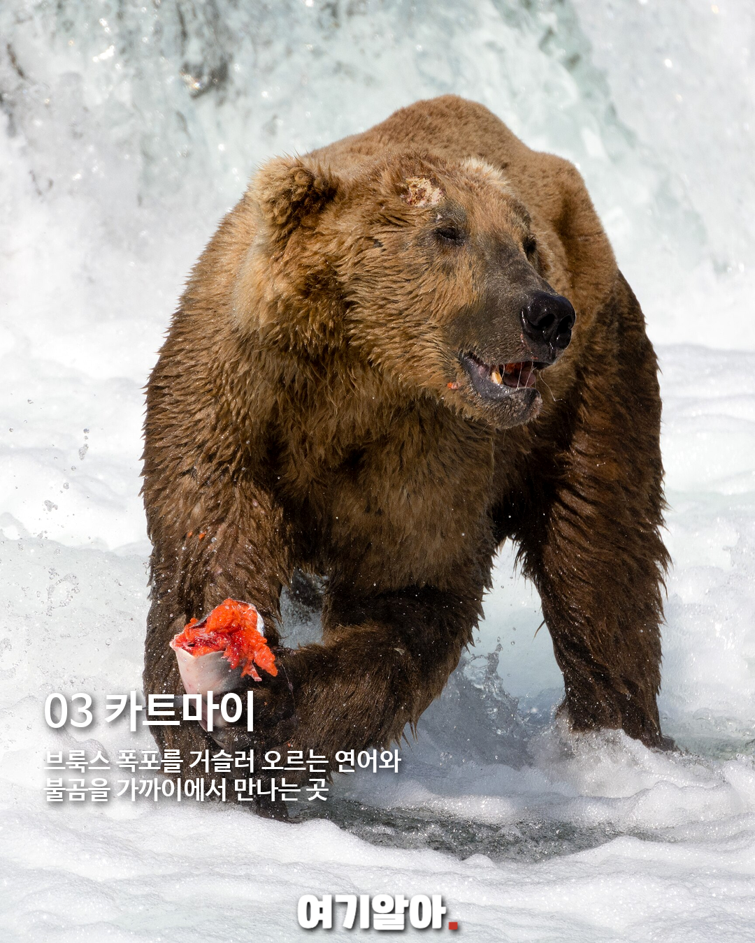 미국 여행 전에 저장할 국립공원 TOP 10 08페이지