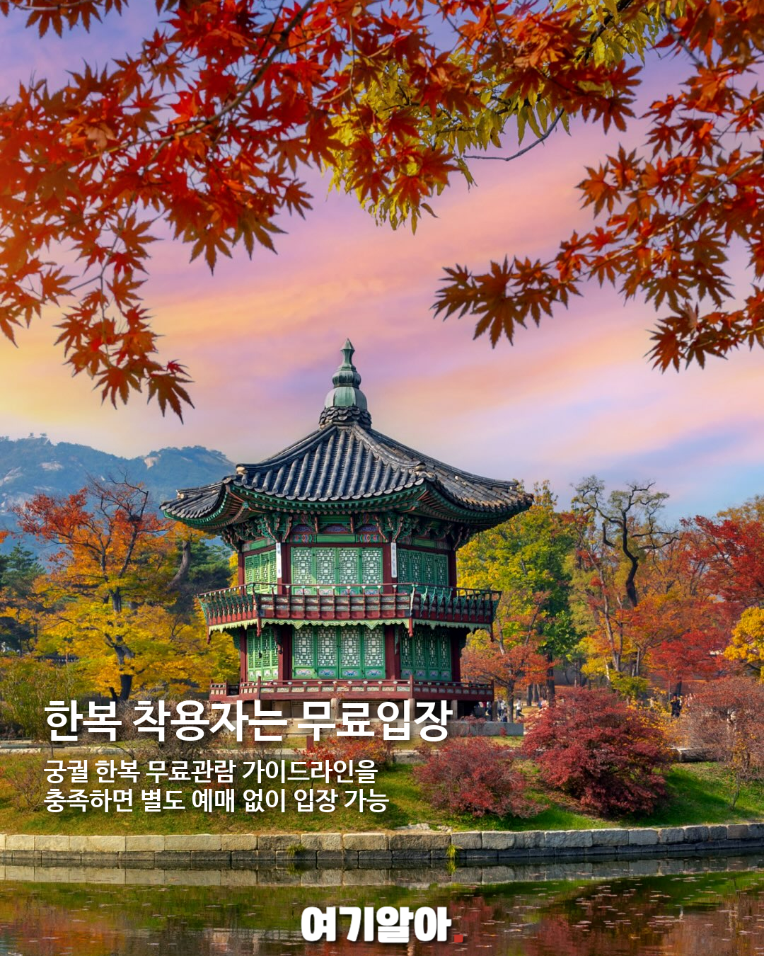 2026 경복궁 가을 야간관람, 달빛 아래 열리는 궁궐 05페이지