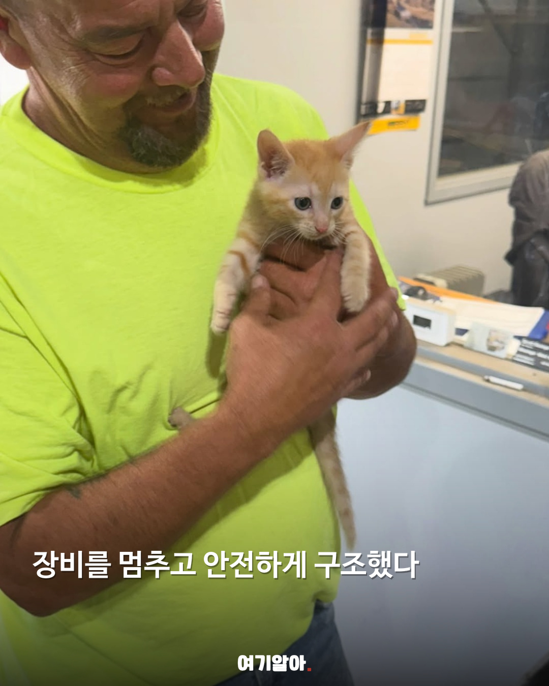 굴착기 안에서 발견된 아기 고양이 04페이지