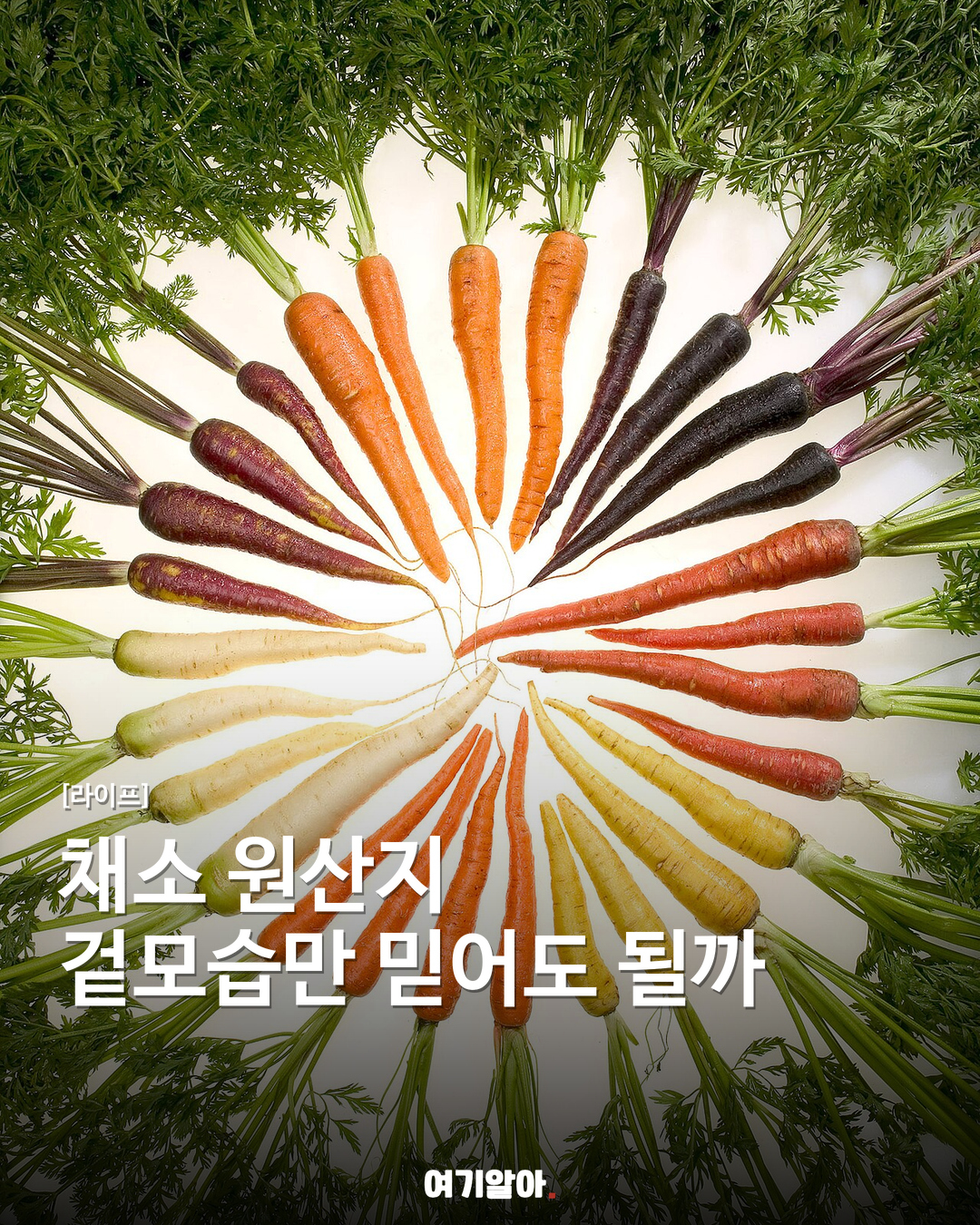 채소 원산지 겉모습만 믿어도 될까