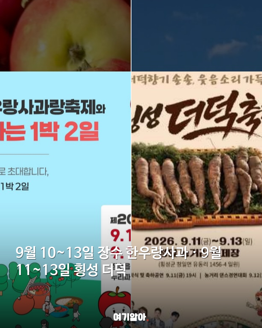 9~10월 전국 먹거리 축제 모음 02페이지