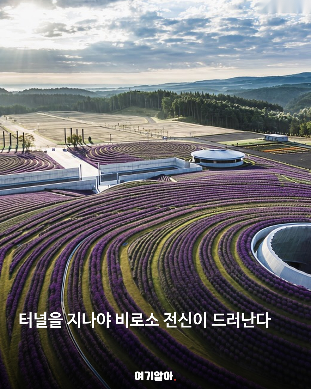 언덕 속에서 만나는 삿포로 대불 04페이지