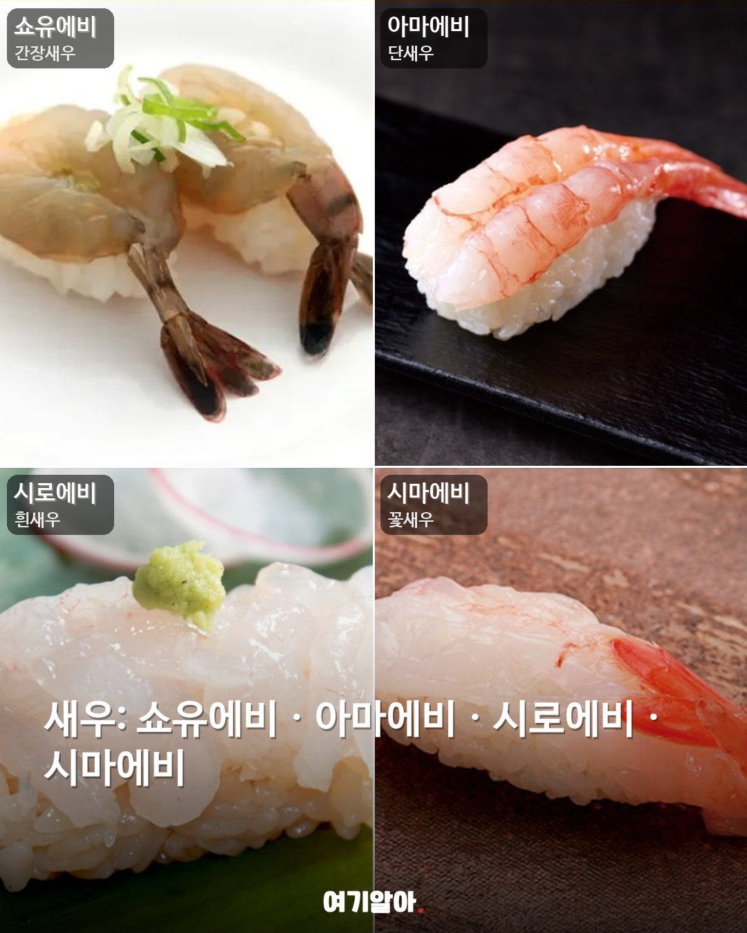 일본 가기 전 알아둘 스시 이름 02페이지