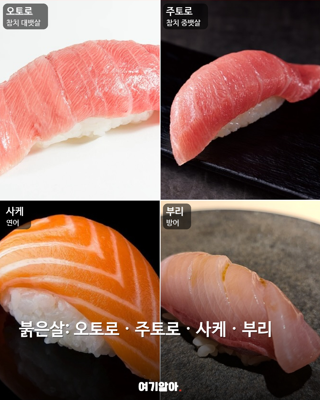 일본 가기 전 알아둘 스시 이름 03페이지
