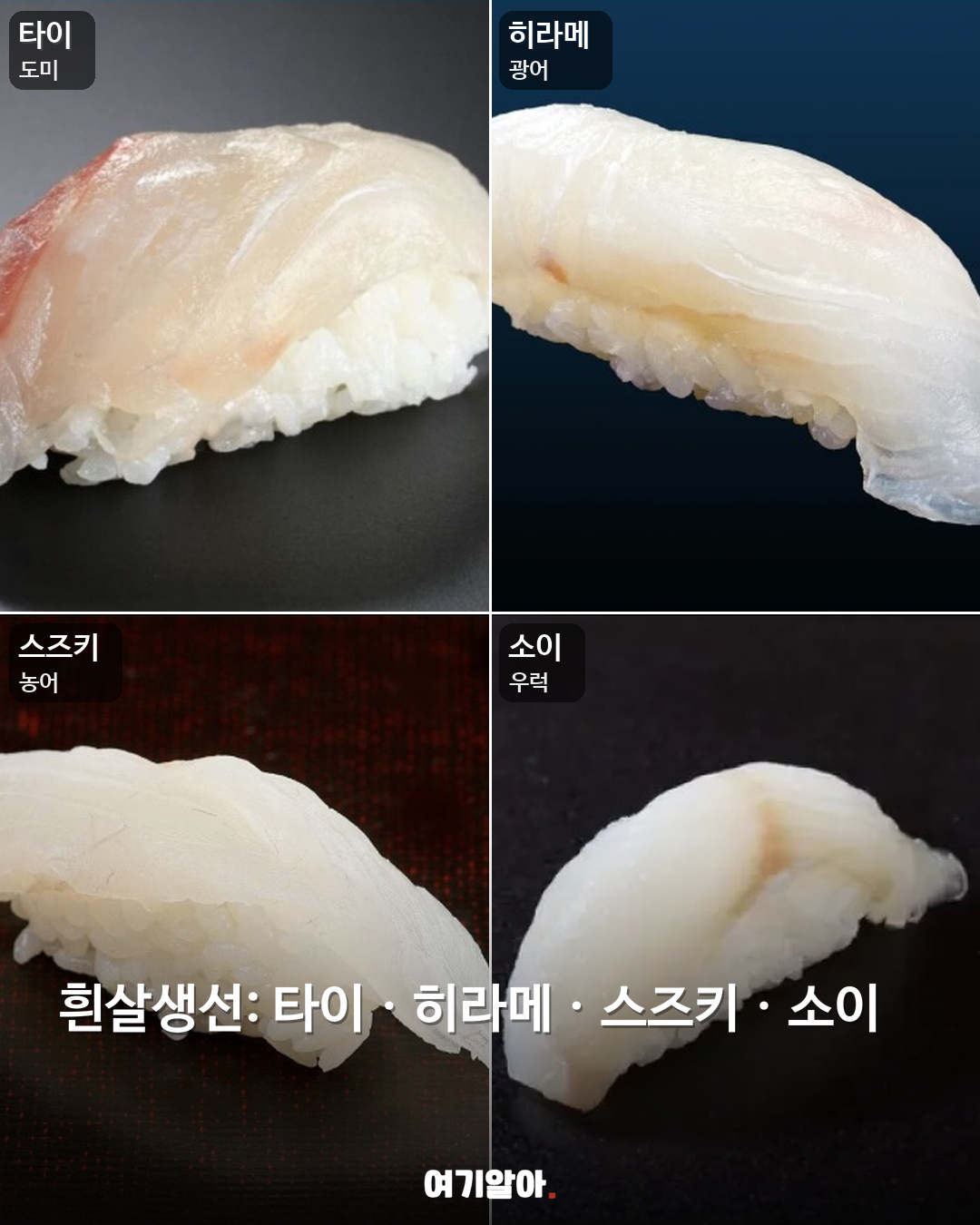 일본 가기 전 알아둘 스시 이름 04페이지
