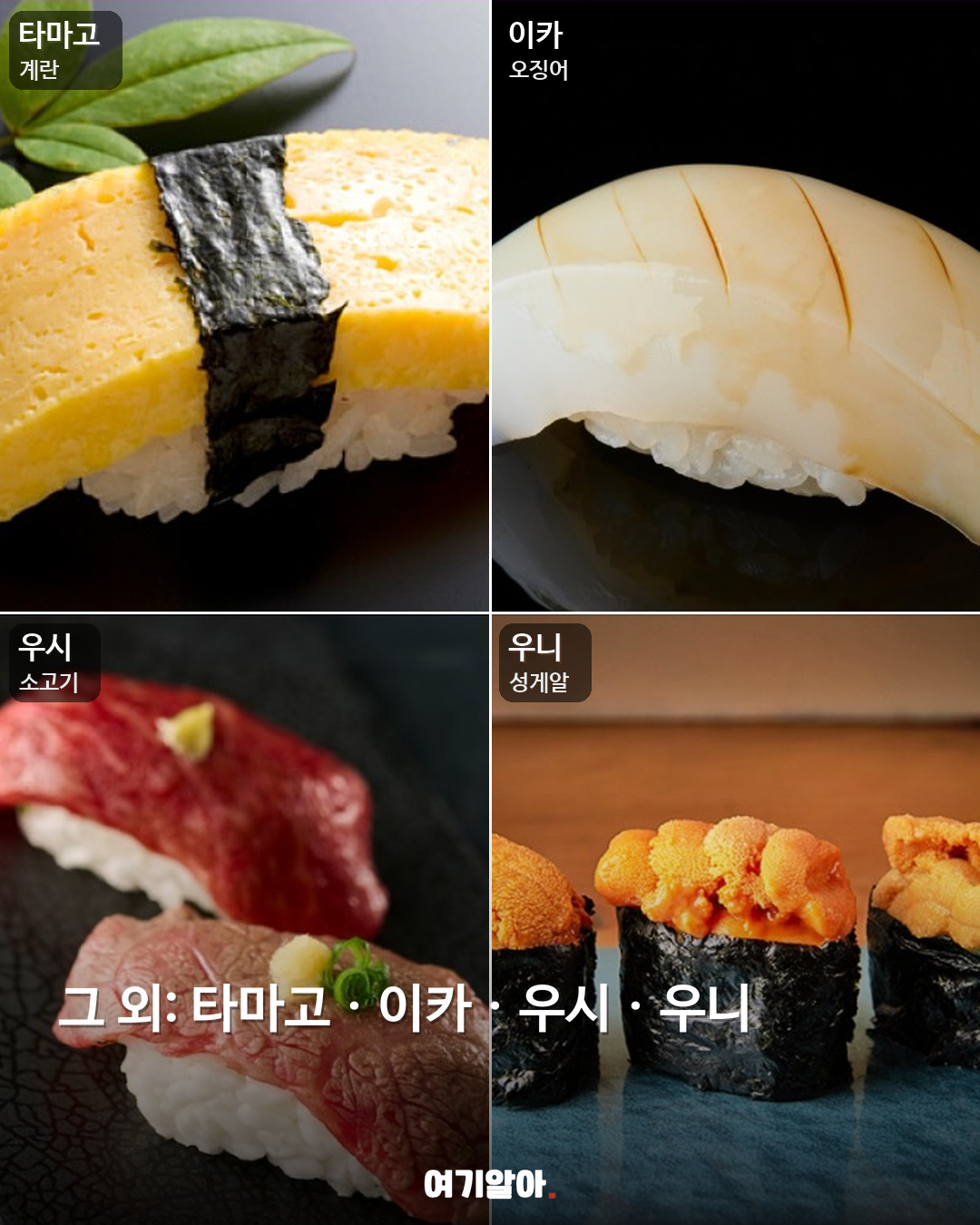 일본 가기 전 알아둘 스시 이름 05페이지
