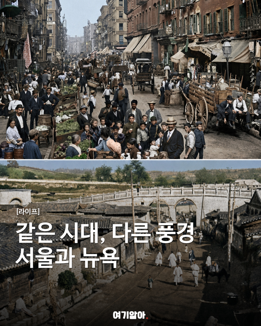 같은 시대, 다른 풍경 서울과 뉴욕