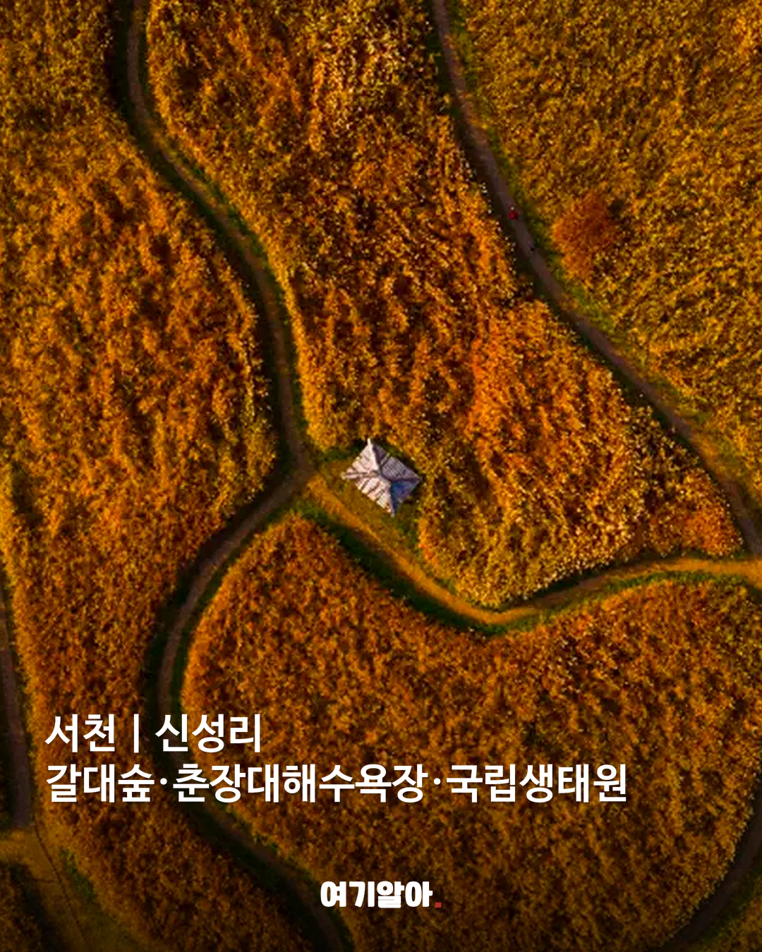 여행비 절반 돌려받는 국내 여행지 9곳 04페이지