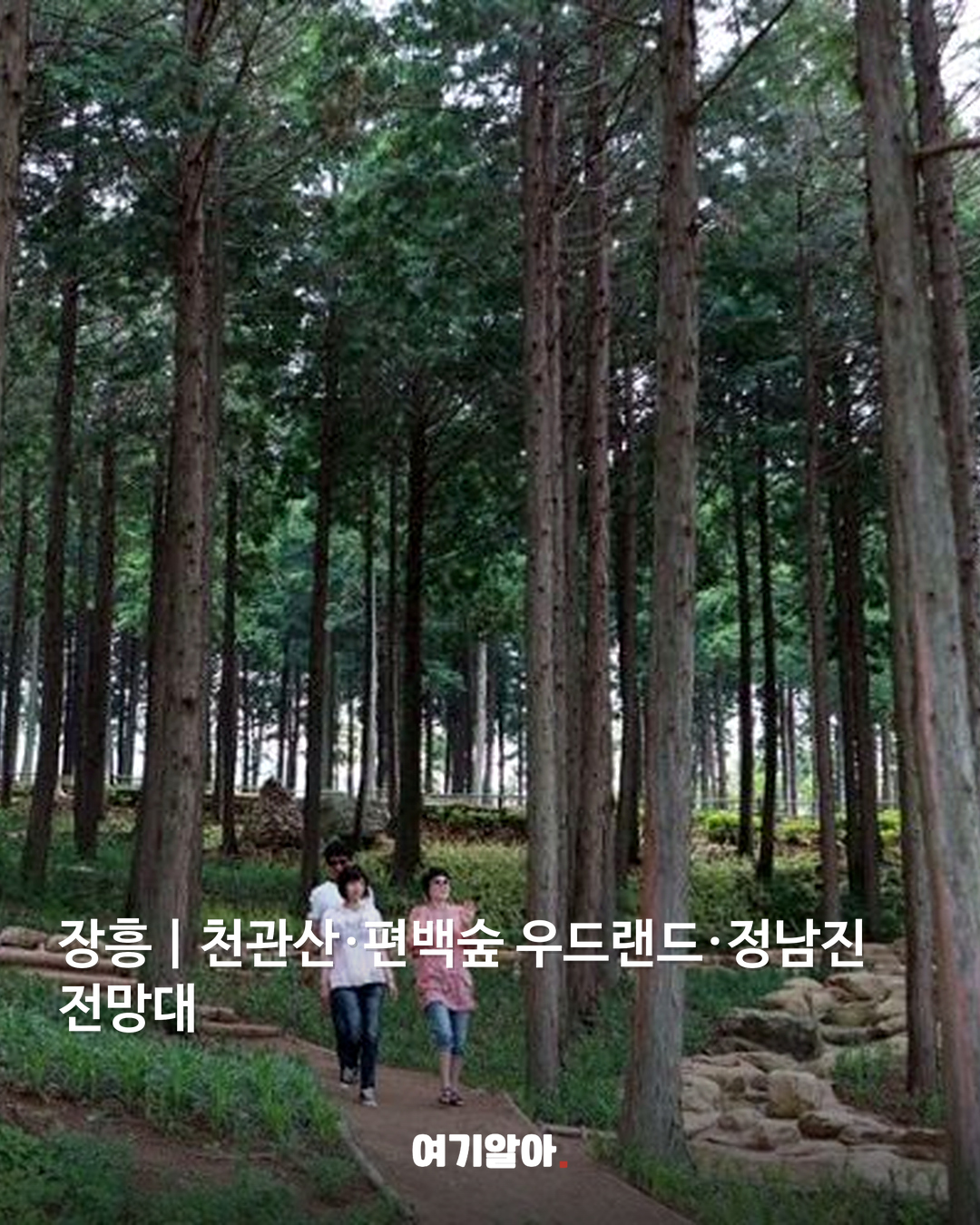 여행비 절반 돌려받는 국내 여행지 9곳 09페이지