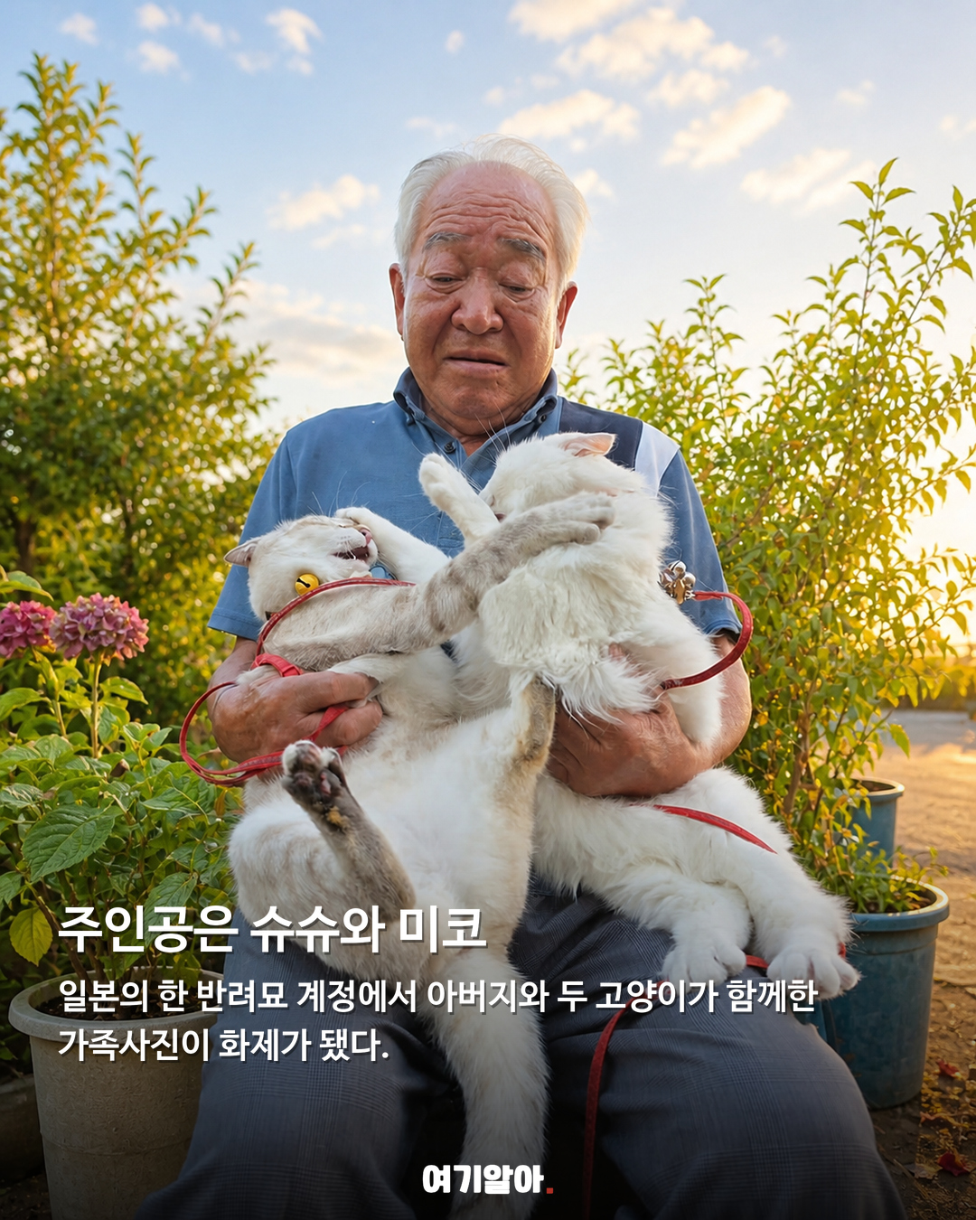 사진 찍을 때마다 싸우는, 두 고양이의 가족사진 02페이지