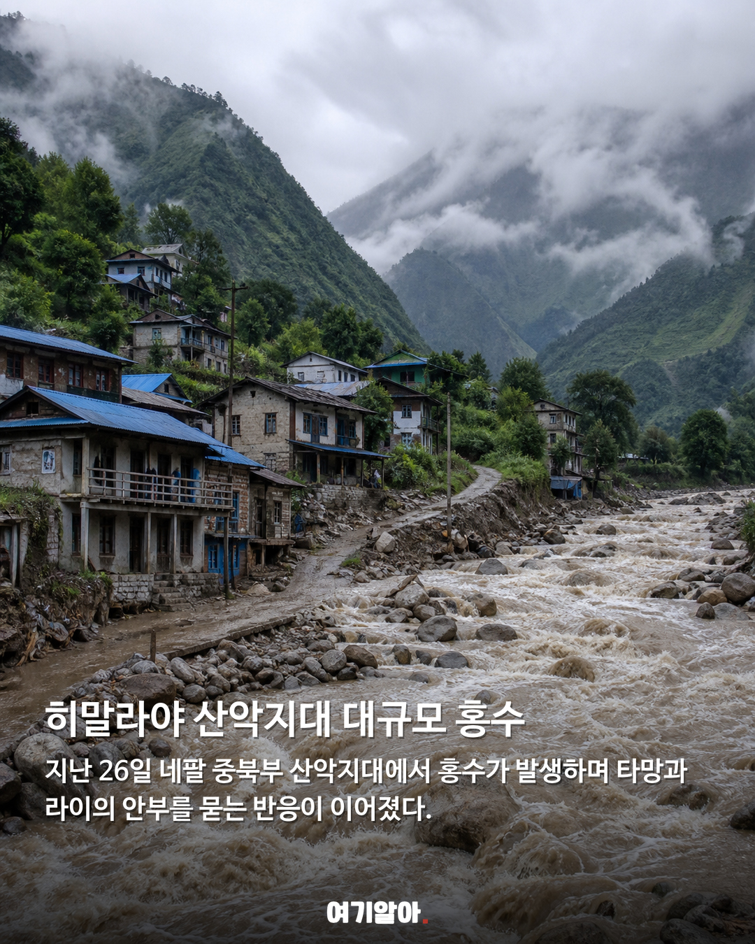 네팔 홍수 소식 뒤, 타망·라이 안부 전한 기안84 02페이지